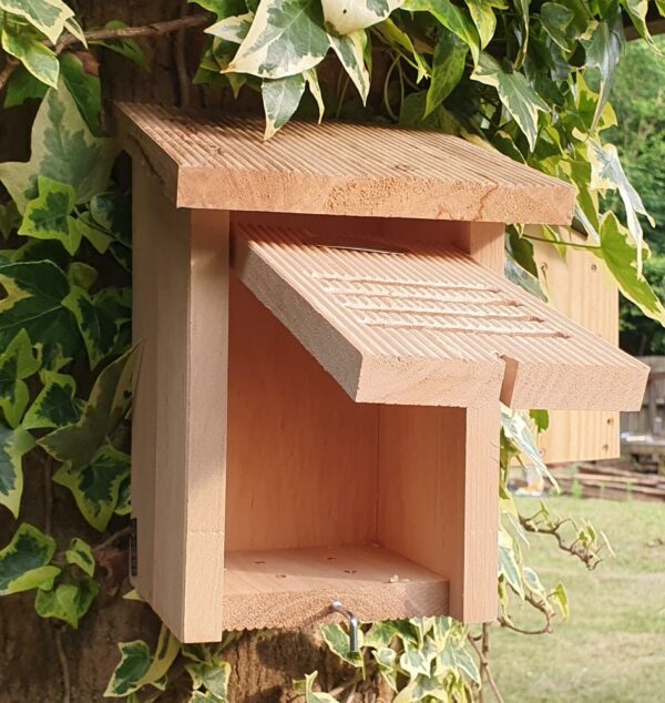 Hanging Ladybird House