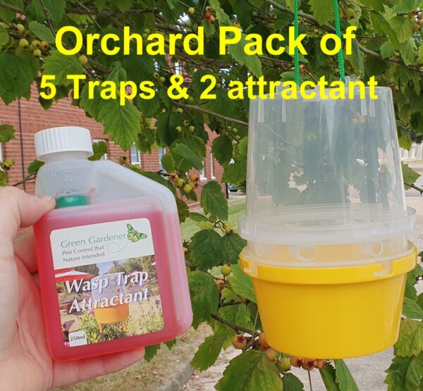 Bulk Pack of Orchard Wasp Traps with Attractant