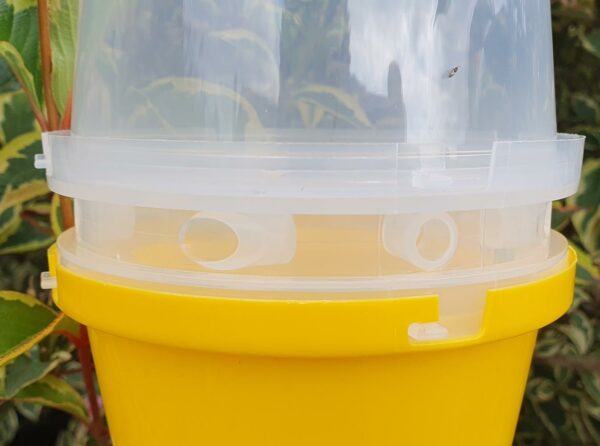 Bulk Pack of Orchard Wasp Traps with Attractant