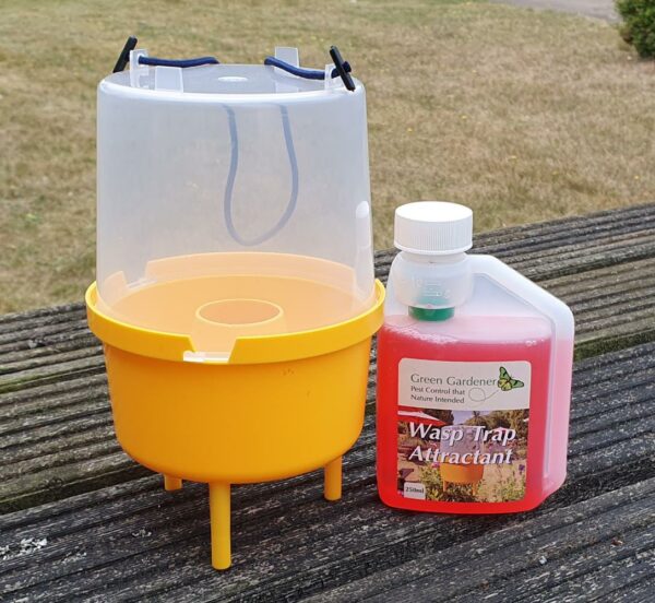 Wasp Trap with Attractant