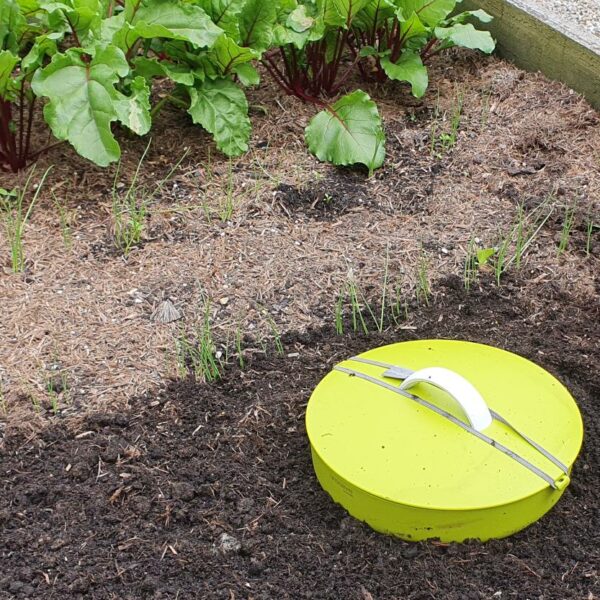 Inground Wormery
