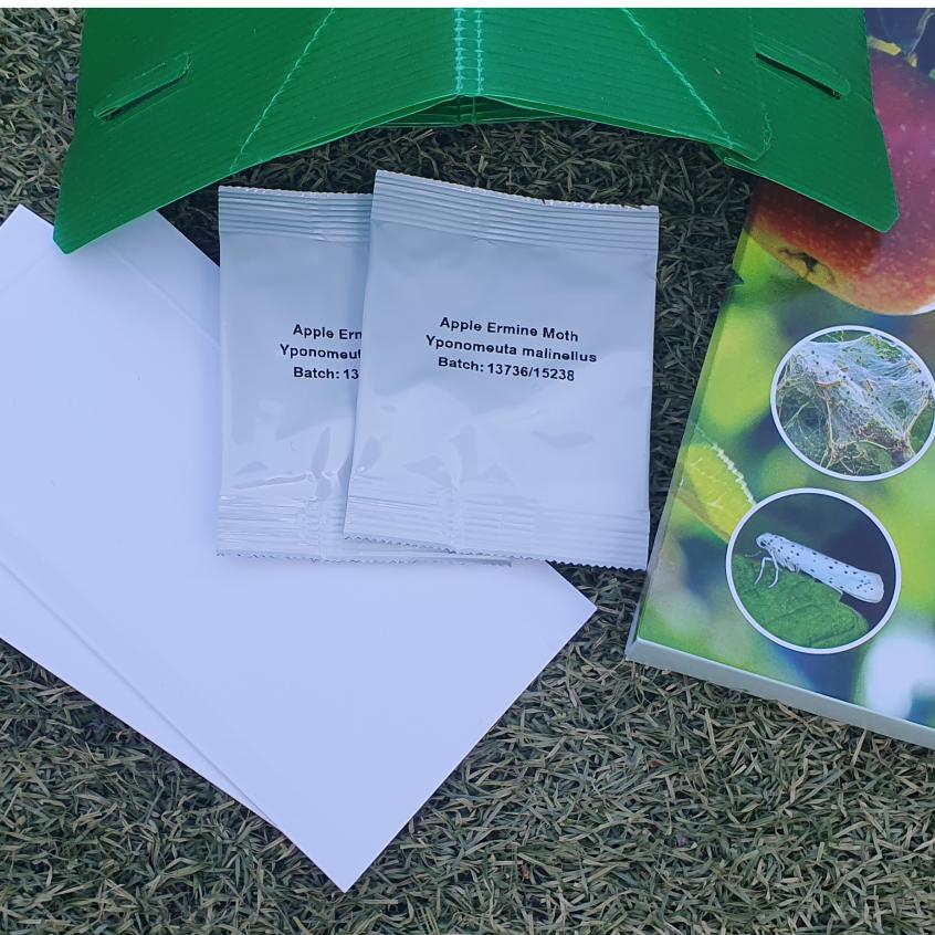 Ermine Moth Traps