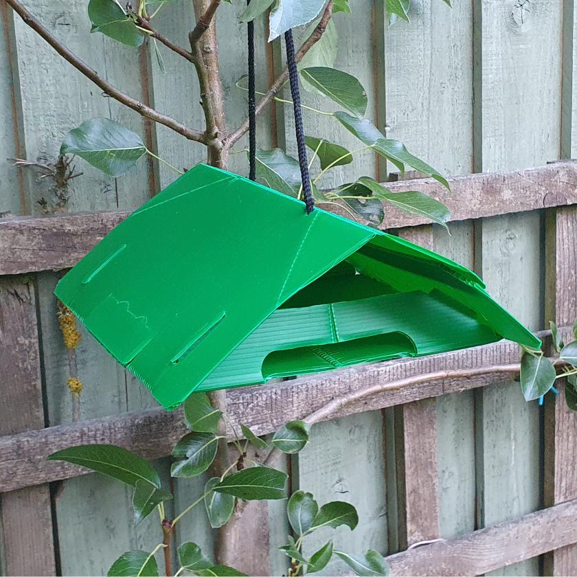 Ermine Moth Traps