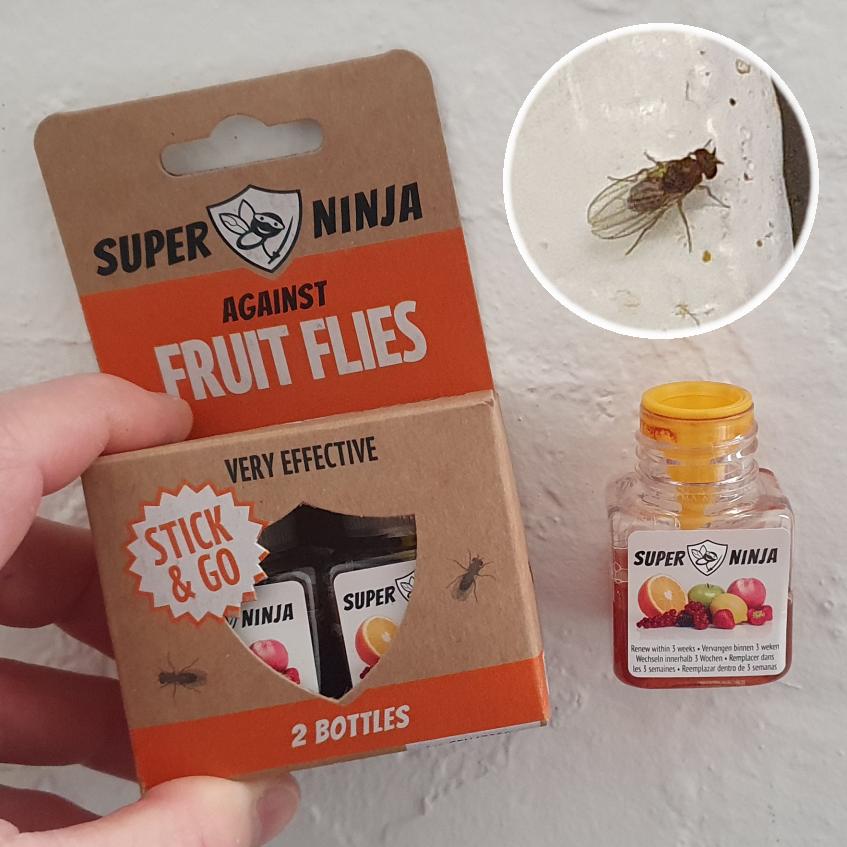 Fruit Fly Traps (Twin Pack)