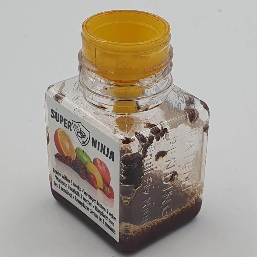 Fruit Fly Traps (Twin Pack)