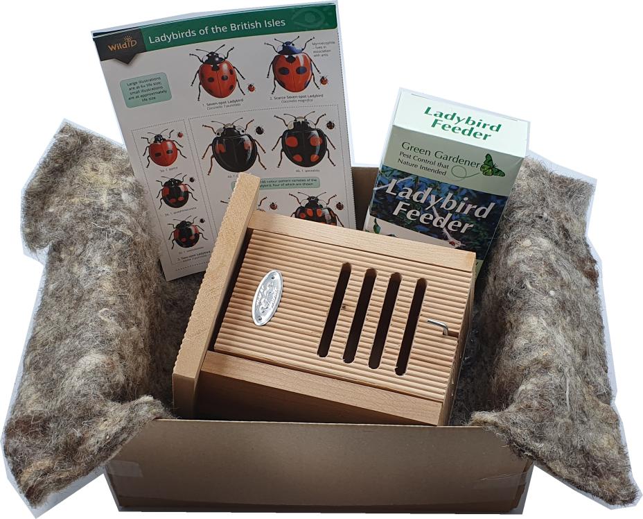 Hanging Ladybird House Giftbox