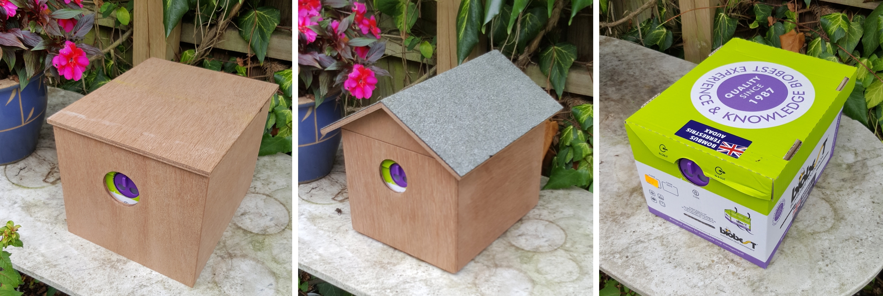 Wooden bumble bee shelters with box containing bumble bees